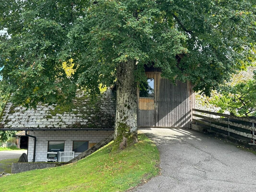 ausbaubares Wohn- und Geschäftshaus in ehemaligem Bauernhaus