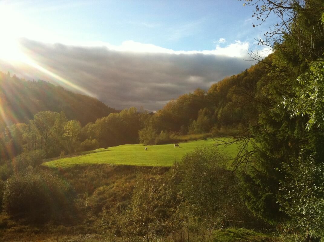 ehem. Pferdehof mitten im UNESCO-Weltkulturerbe Entlebuch