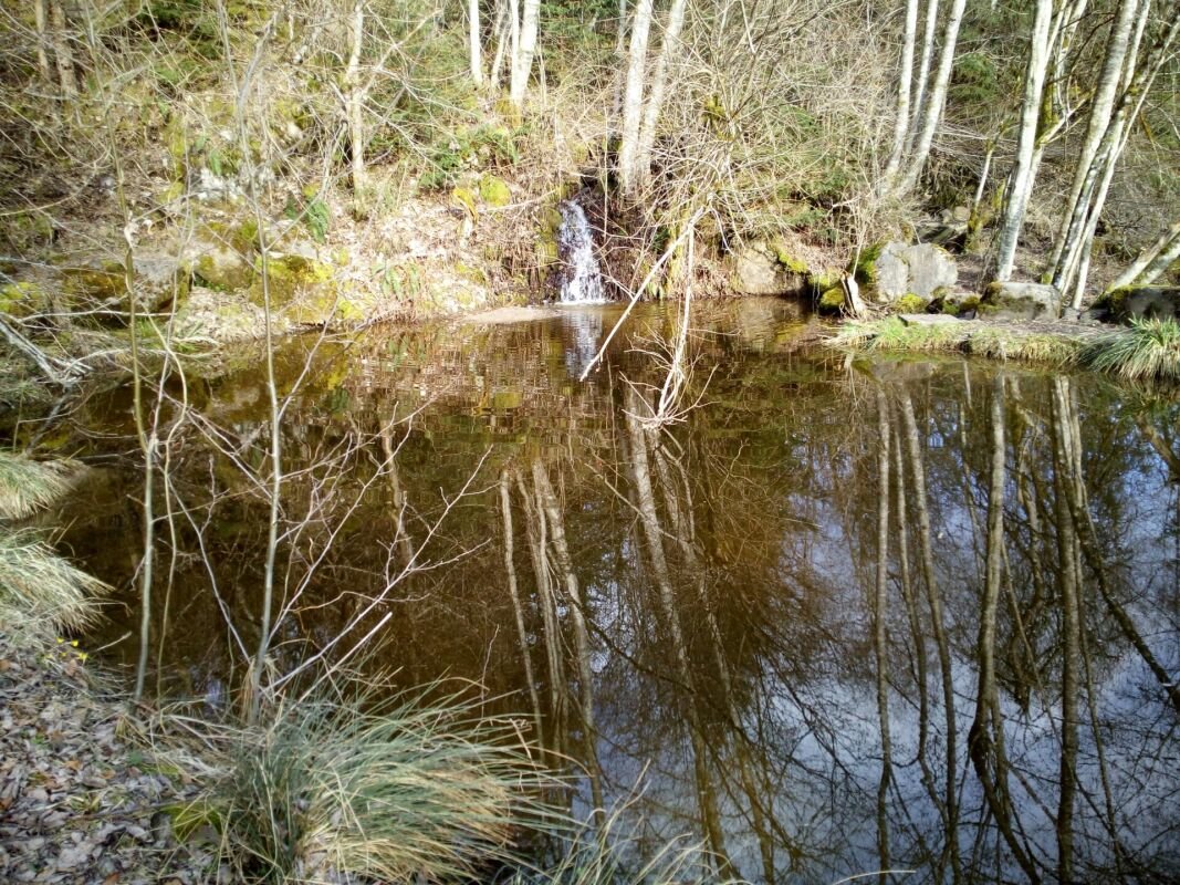 ehem. Pferdehof mitten im UNESCO-Weltkulturerbe Entlebuch