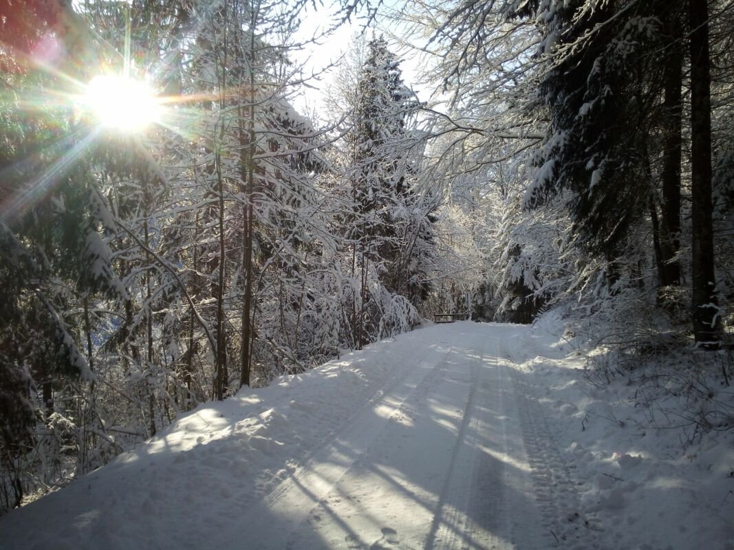 ehem. Pferdehof mitten im UNESCO-Weltkulturerbe Entlebuch