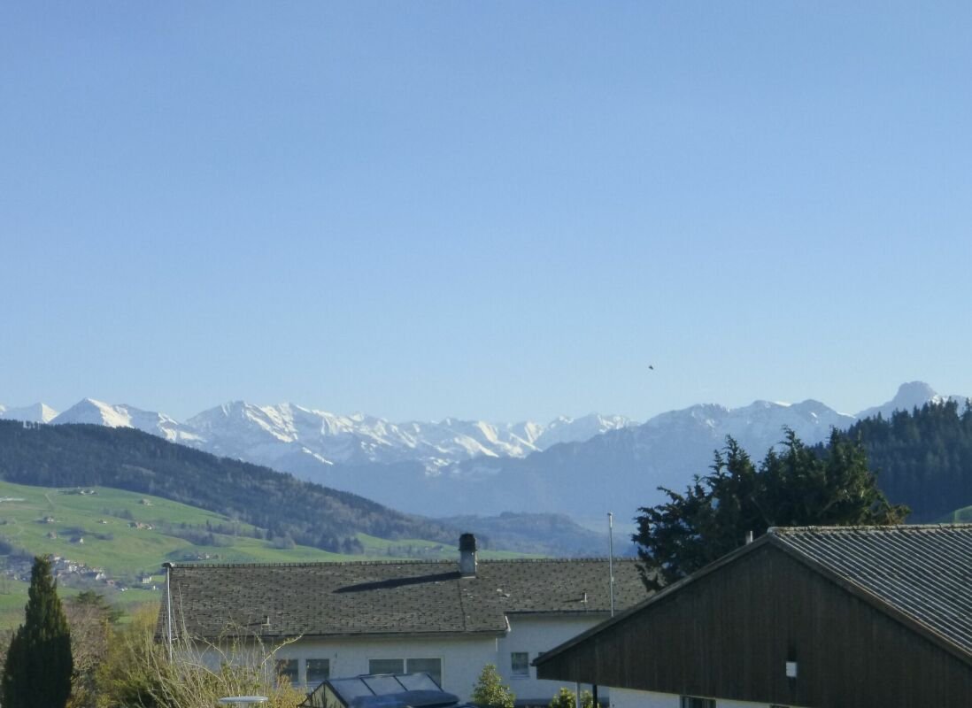6.5-Zimmer Doppeleinfamilienhaus